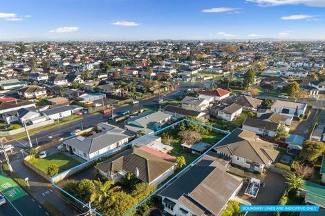 Photo of property in 115 Puhinui Road, Papatoetoe, Auckland, 2104
