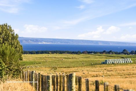 Photo of property in 23 Walnut Lane, Nukuhau, Taupo, 3330