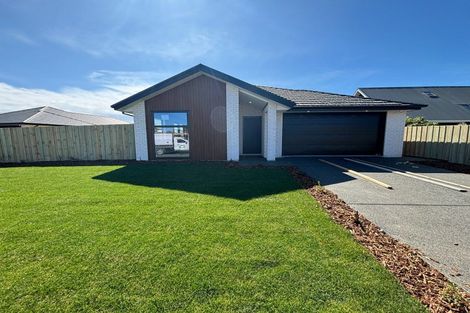 Photo of property in 6 Kildare Street, Belfast, Christchurch, 8051