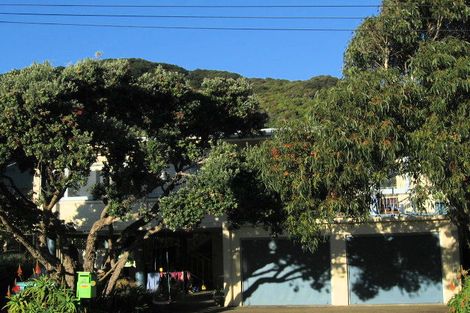 Photo of property in 21 Pukatea Street, Eastbourne, Lower Hutt, 5013