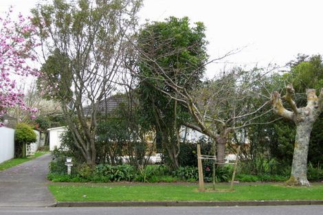 Photo of property in 15 Hobson Street, Levin, 5510