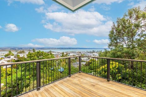 Photo of property in 23 Denholm Road, Hospital Hill, Napier, 4110