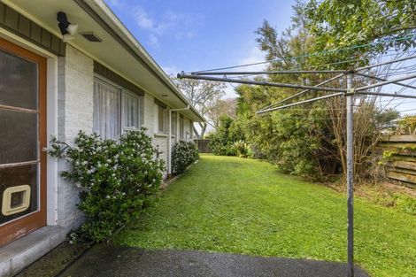 Photo of property in 57a Cooper Street, Pukekohe, 2120