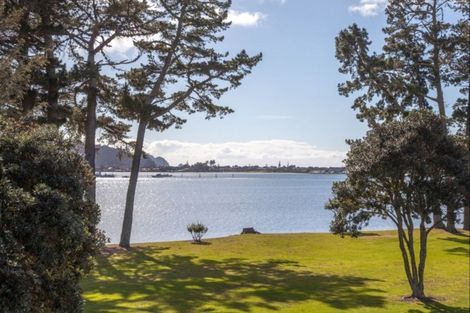 Photo of property in 35 El Dorado Leader, Pauanui, Hikuai, 3579