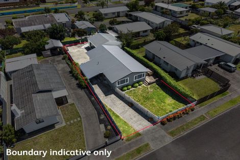 Photo of property in 25 Lindsey Crescent, Springvale, Whanganui, 4501