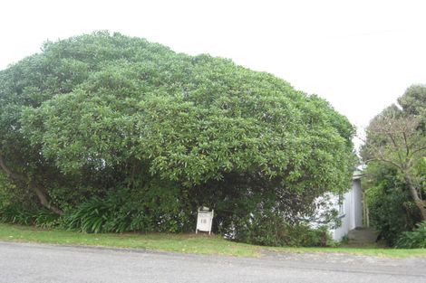 Photo of property in 18 Mckenzie Avenue, Raumati South, Paraparaumu, 5032