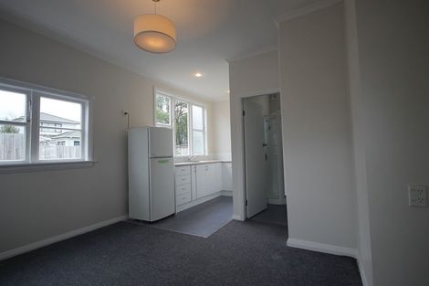 Photo of property in 16 Normanby Street, Newtown, Wellington, 6021