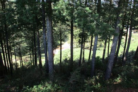 Photo of property in 122 Mossy Creek Road, Ikamatua, Totara Flat, 7871