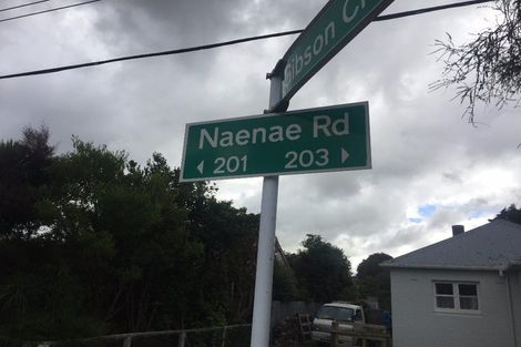Photo of property in 223 Naenae Road, Naenae, Lower Hutt, 5011