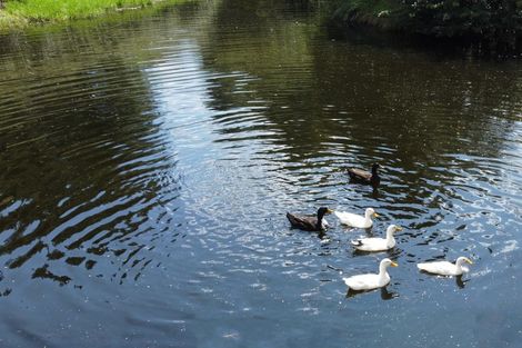 Photo of property in 363 Roydon Downs Road, Paengaroa, Te Puke, 3189