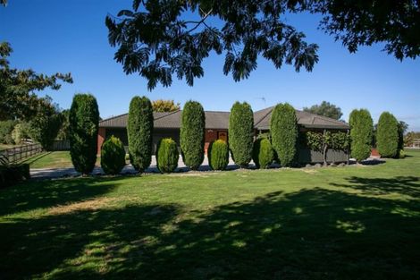 Photo of property in 20 De La Mare Drive, Leamington, Cambridge, 3432