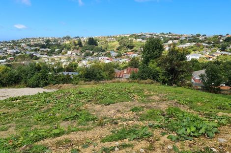 Photo of property in 20 Thomson Street, Lookout Point, Dunedin, 9011