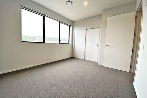 Photo of property in Aniva Terrace, 32 Ferguson Street, Newtown, Wellington, 6021