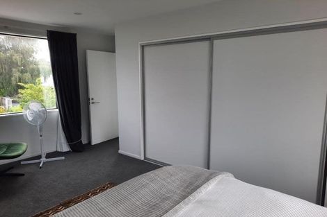 Photo of property in 6 Dave Jamieson Lane, Hillmorton, Christchurch, 8024