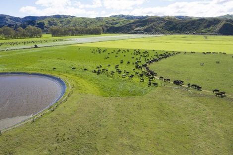 Photo of property in 330 Mahanga Road, Mahia, Nuhaka, 4198