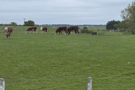 Photo of property in 488 Woodlands South Road, Rimu, Invercargill, 9871