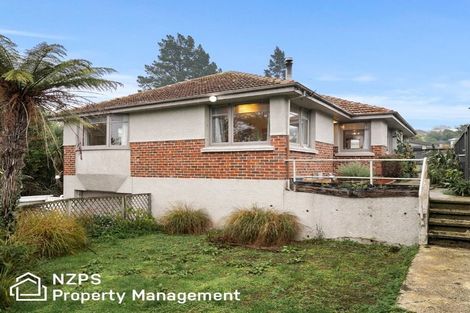 Photo of property in 19 Wairoa Street, Kaikorai, Dunedin, 9010