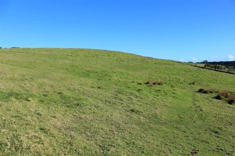 Photo of property in 71b Taiapa Valley Road, Muriwai, 0881