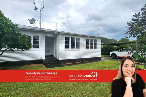 Photo of property in 14a Cameron Road, Te Puke, 3119