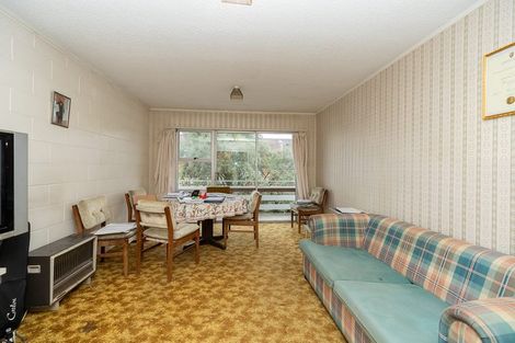 Photo of property in 3g Willoughby Street, Whitiora, Hamilton, 3200