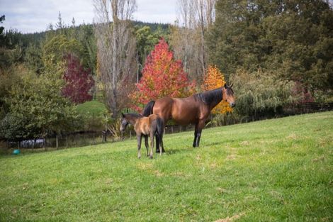 Photo of property in 139 Ararimu Valley Road, Helensville, Waimauku, 0882