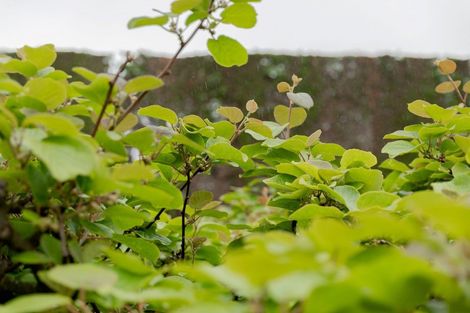 Photo of property in 837b Pyes Pa Road, Pyes Pa, Tauranga, 3173