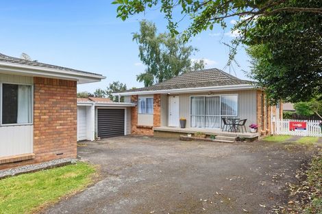 Photo of property in 50b Alison Street, Hamilton Lake, Hamilton, 3204