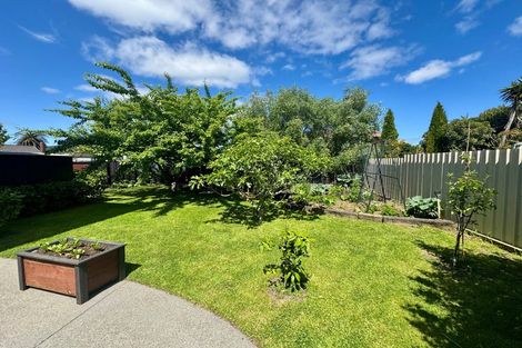 Photo of property in 46a Landing Road, Whakatane, 3120