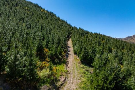 Photo of property in 1067 Taylor Pass Road, Taylor Pass, Blenheim, 7274