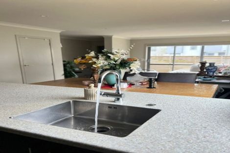 Photo of property in 8 Brindle Way, Newlands, Wellington, 6037