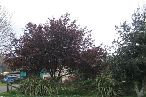 Photo of property in 63 Wikaraka Street, Ngongotaha, Rotorua, 3010