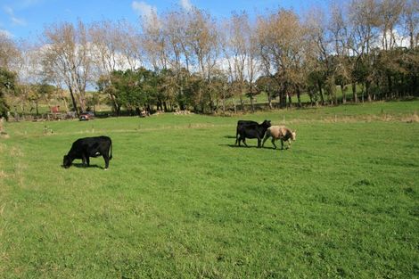 Photo of property in 556 Mangorei Road, Mangorei, New Plymouth, 4371
