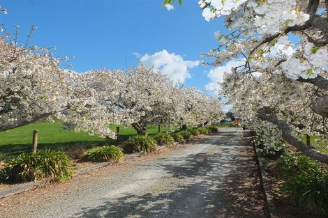 Photo of property in 70 Halstead Road, Pleasant Point, 7903