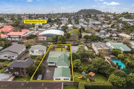 Photo of property in 46 Ellerton Road, Mount Eden, Auckland, 1024