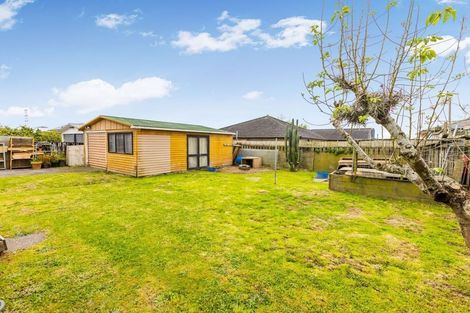 Photo of property in 55 Tatariki Street, Rosehill, Papakura, 2113