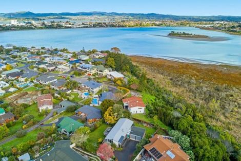 Photo of property in 22 Mana Street, Otumoetai, Tauranga, 3110