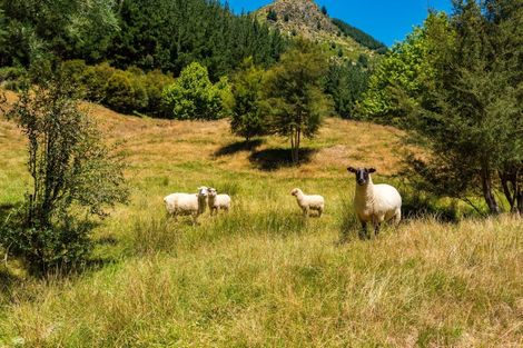 Photo of property in 90 Tapps Road, Canvastown, Havelock, 7178