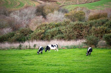 Photo of property in 46d Lockerbie Lane, Whatawhata, Hamilton, 3289