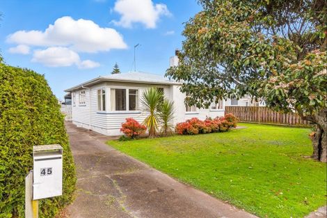 Photo of property in 45 Duke Street, Levin, 5510