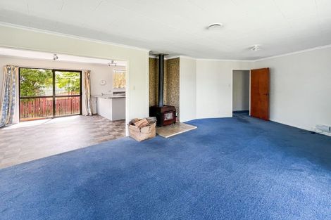 Photo of property in 82 Hoods Road, Mount Somers, Ashburton, 7771