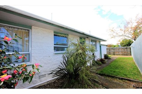 Photo of property in 205b Weld Street, Witherlea, Blenheim, 7201