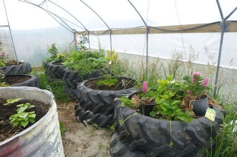 Photo of property in 59 Neva Street, Fortrose, Tokanui, 9875