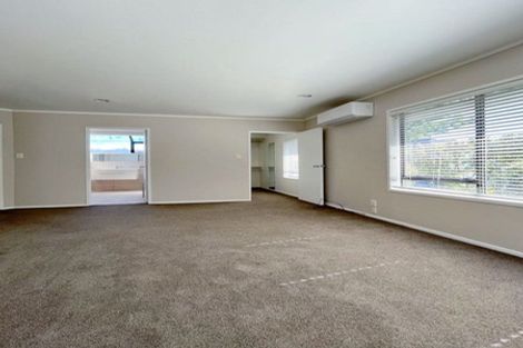 Photo of property in 17a Karetu Road, Greenlane, Auckland, 1051