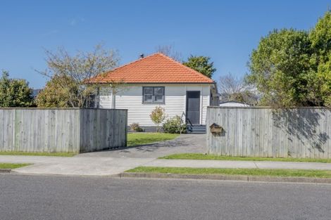 Photo of property in 12 Featherston Street, Levin, 5510