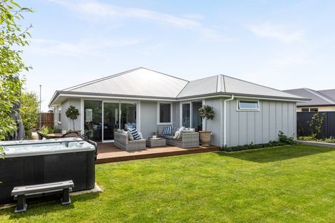 Photo of property in 62 Lochhead Street, Mahora, Hastings, 4120