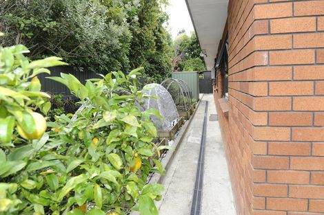 Photo of property in 87 Mcgregor Street, Milson, Palmerston North, 4414