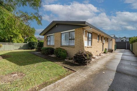 Photo of property in 41 Winstone Avenue, Chartwell, Hamilton, 3210