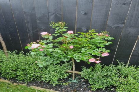 Photo of property in 12b Titoki Street, Te Atatu Peninsula, Auckland, 0610