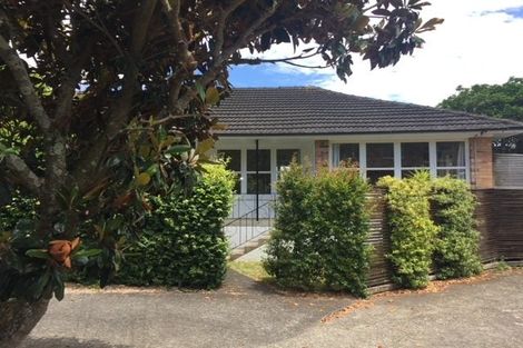 Photo of property in 1/8 Shirley Road, Grey Lynn, Auckland, 1021