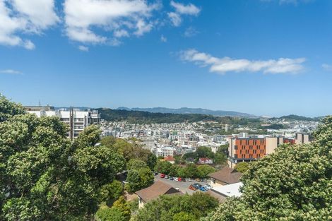 Photo of property in 80 Kelburn Parade, Kelburn, Wellington, 6012